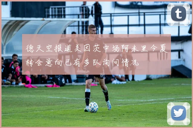 德天空报道美因茨中场阿米里今夏转会意向已有多队询问情况